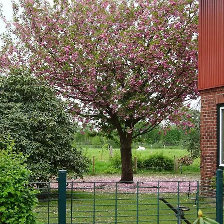 Ferienwohnung Wisbek Brinjahe Exterior foto