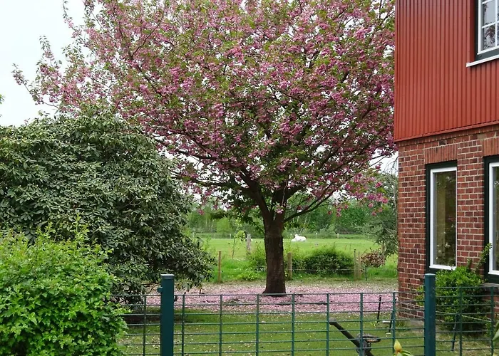 Ferienwohnung Wisbek